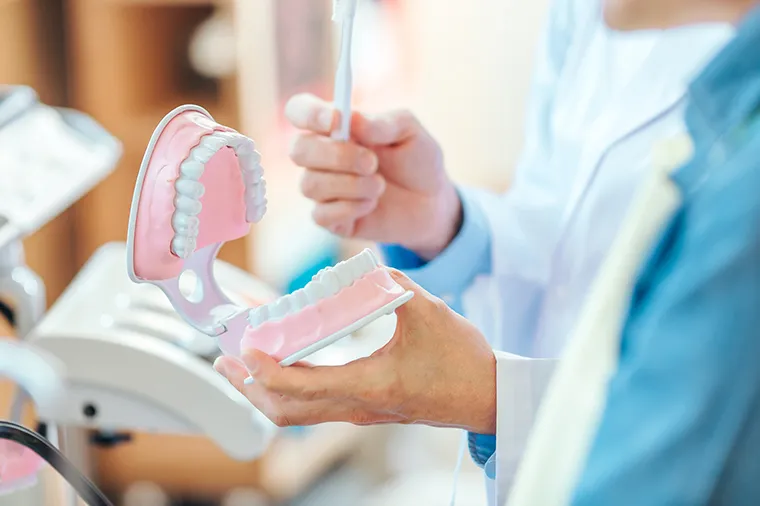 クリーニング、歯磨き・ケアの指導